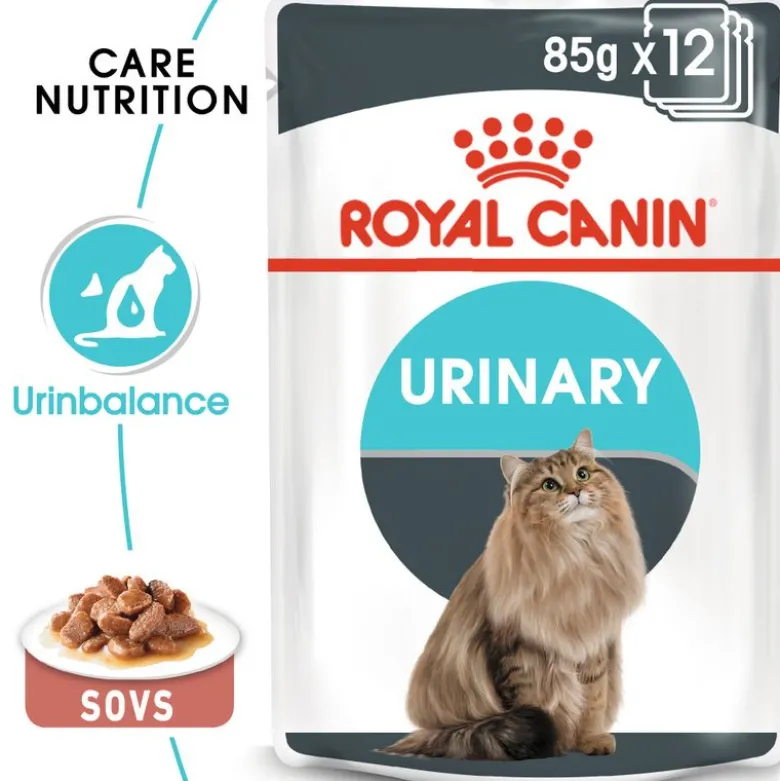 Økonomipakke: 96 x 85 g Royal Canin vådfoder