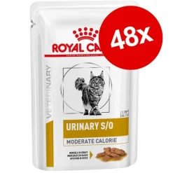 Økonomipakke: 48 x 85 g Royal Canin Veterinary Feline