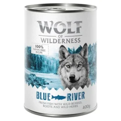 Økonomipakke: 24 x 400 g Wolf of Wilderness Adult - Single Protein