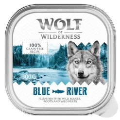 Økonomipakke: 24 x 300 g Wolf of Wilderness Adult