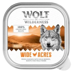 Økonomipakke: 24 x 300 g Wolf of Wilderness Adult