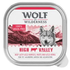 Økonomipakke: 24 x 300 g Wolf of Wilderness Adult