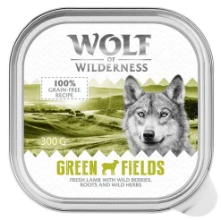 Økonomipakke: 12 x 300 g Wolf of Wilderness Adult