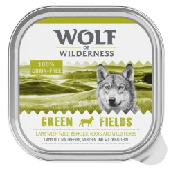 Økonomipakke: 12 x 300 g Wolf of Wilderness Adult