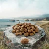 Økonomipakke: 2 x 6,5 kg Purizon tørfoder