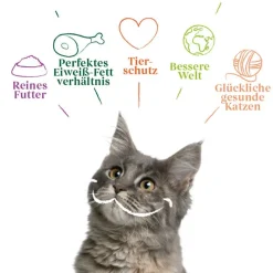 Økonomipakke Yarrah Økologisk 48 x 100 g