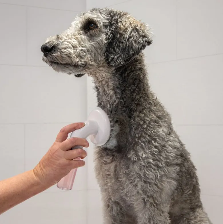 kooa badebørste til hunde