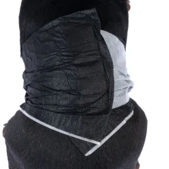 kooa bleer til hanhunde med bambus