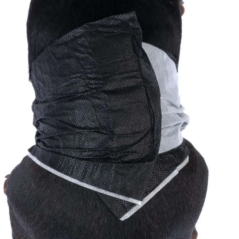 kooa bleer til hanhunde med bambus