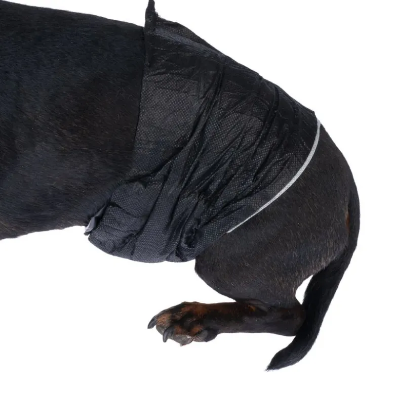 kooa bleer til hanhunde med bambus