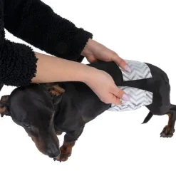 kooa bleer til hanhunde med trækul