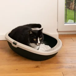 kooa Kattebakke 100% genbrugsplast