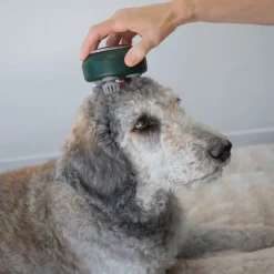 kooa massageapparat til kæledyr