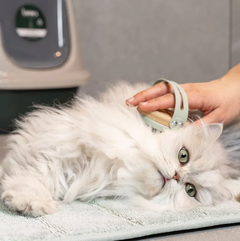 kooa Massagebørste til katte