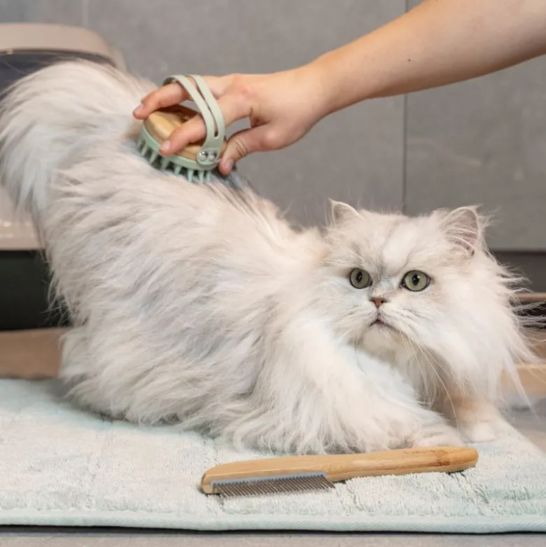 kooa Massagebørste til katte