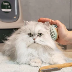 kooa Massagebørste til katte