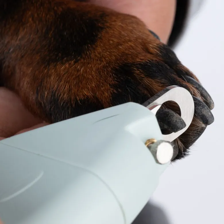 kooa neglesaks til hunde
