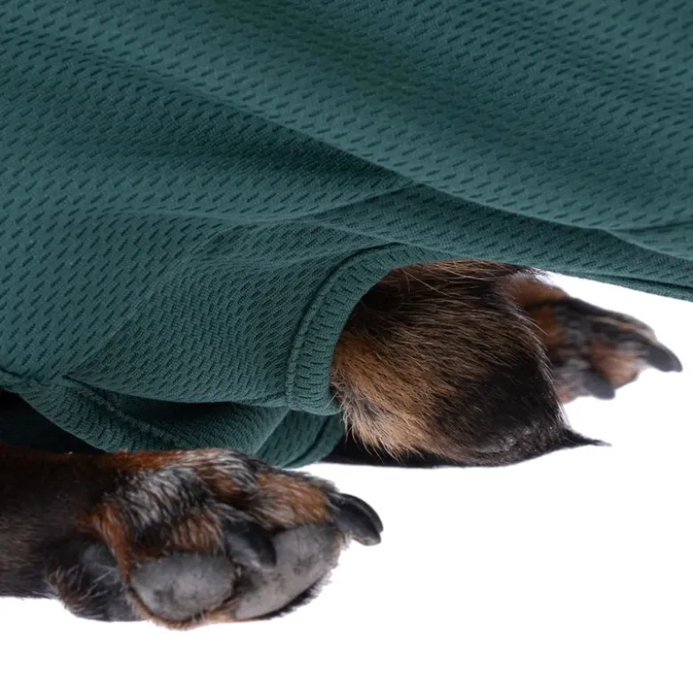 kooa OP-Body til hanhunde