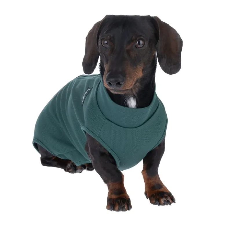 kooa OP-Body til hanhunde