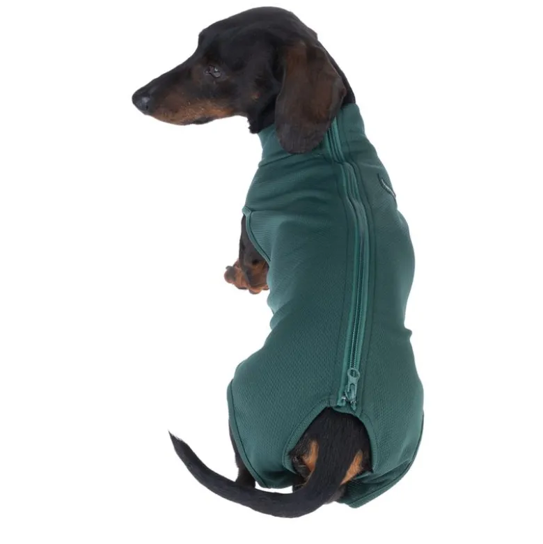 kooa OP-Body til hanhunde
