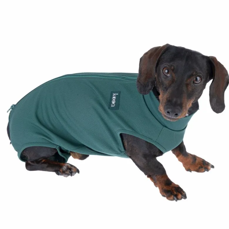 kooa OP-Body til hanhunde