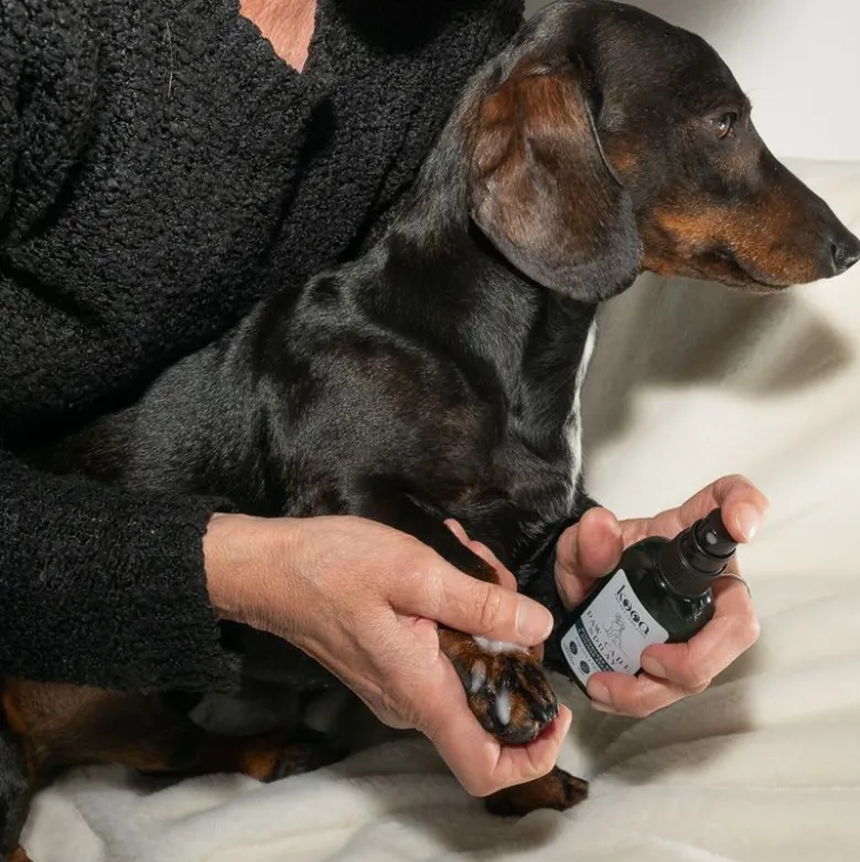 kooa poteplejespray til hunde