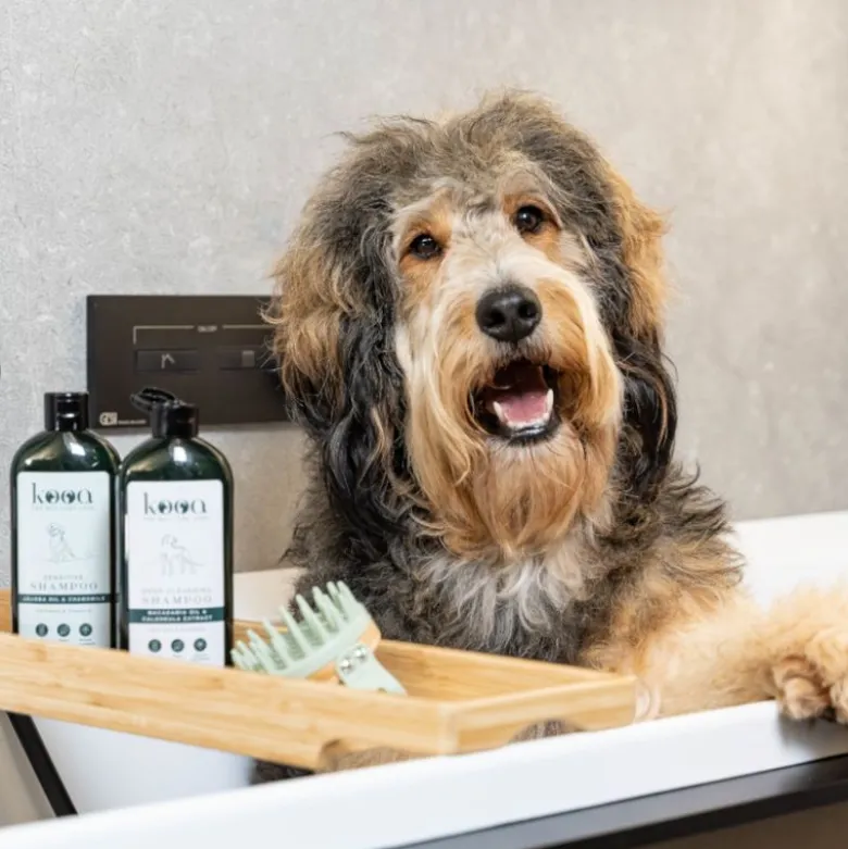 kooa Sensitive Shampoo
