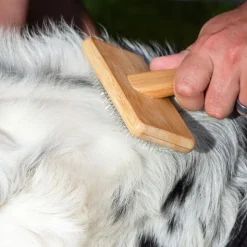 kooa Strigle af Bambus