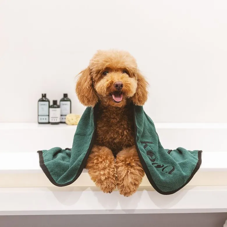 kooa tørshampoo