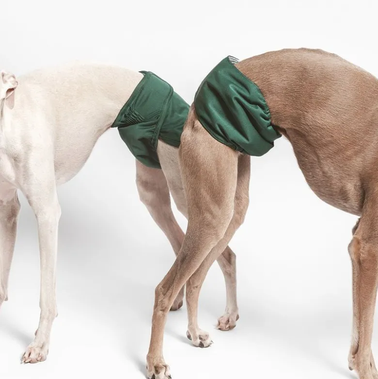 kooa vaskbar ble til hanhunde