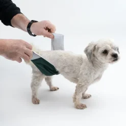 kooa vaskbar ble til hanhunde