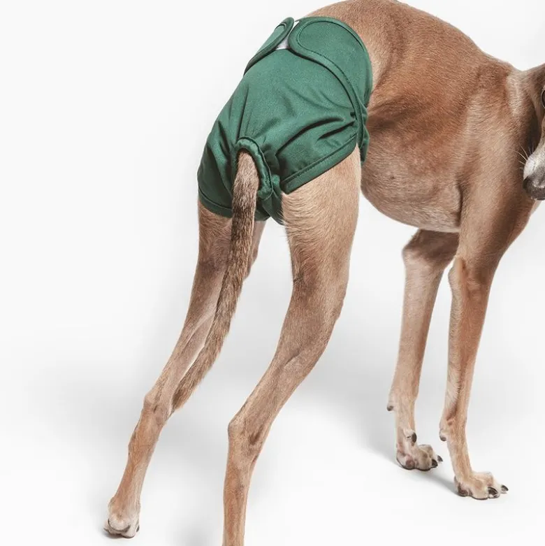 kooa vaskbar ble til hanhunde