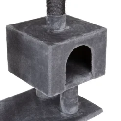 Kradsetræ Nox