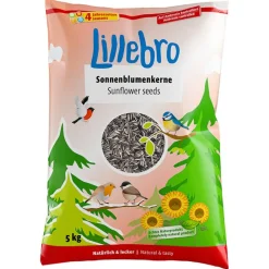 Lillebro Solsikkefrø