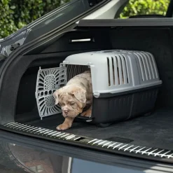 Lionto transportkasse af plast, antracit