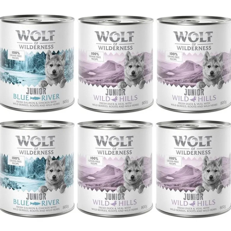 Little Wolf of Wilderness 6 x 800 g