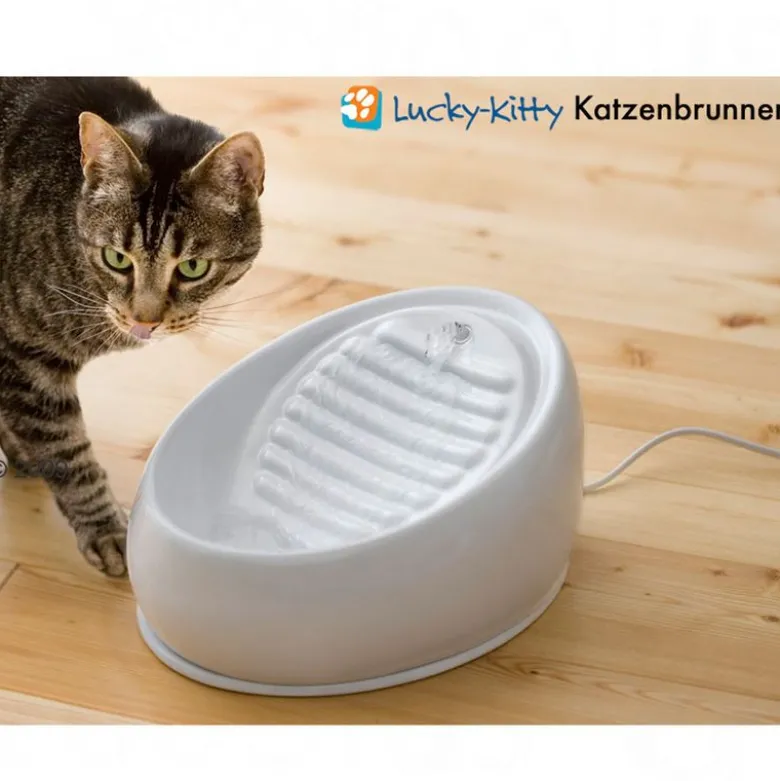 Lucky-Kitty kattefontæne i keramik