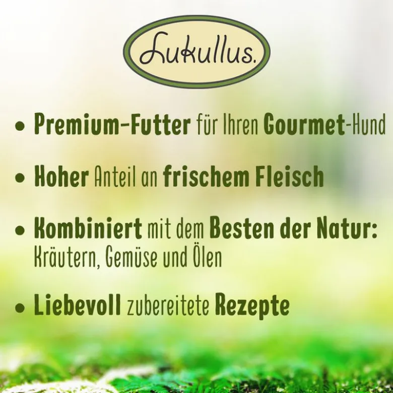 Lukullus Coins Lam