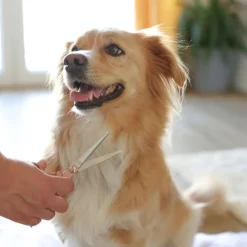 Magic Brush Grooming-Schere