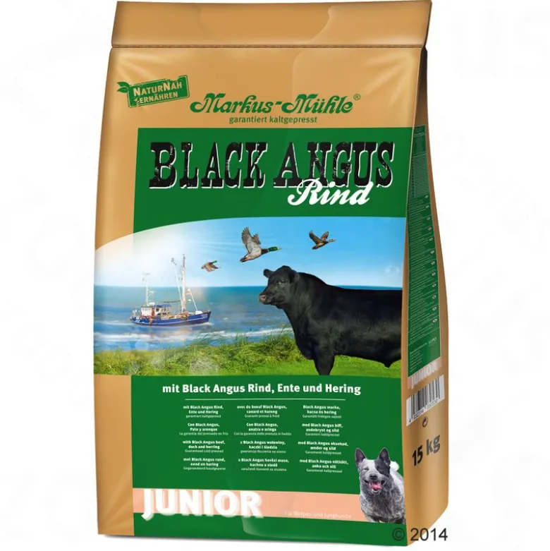 Markus-Mühle Black Angus Junior