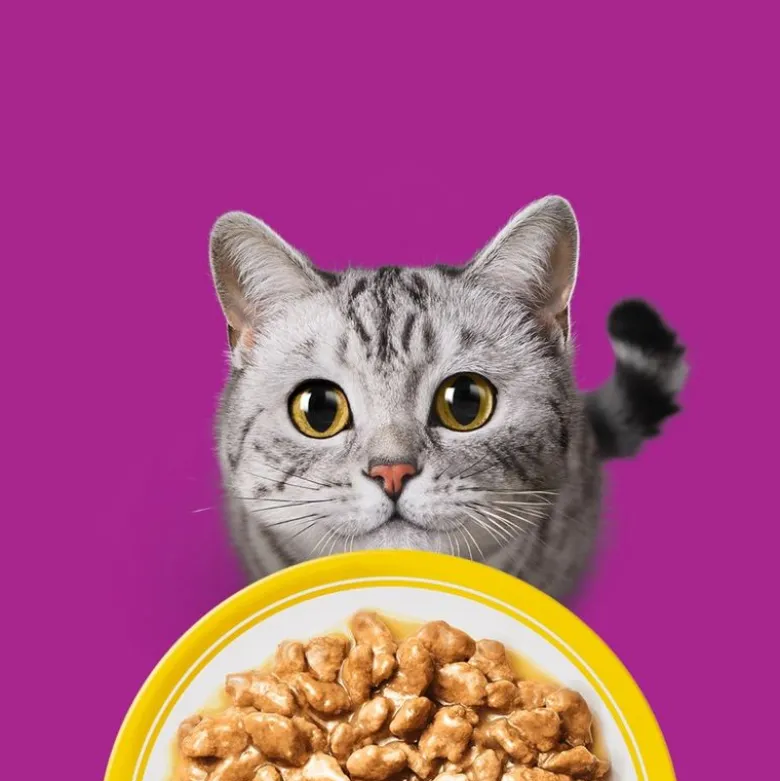 Megapakke: 48 x 85 g Whiskas 1+ Adult portionsposer