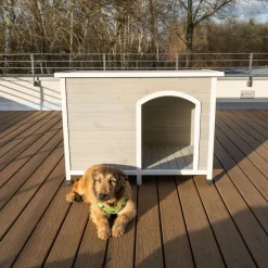 Moderne Living Bergen Foldbar Hundehytte