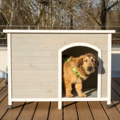 Moderne Living Bergen Foldbar Hundehytte