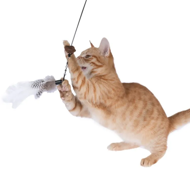 Modern Living Bernie snackjæger til katte