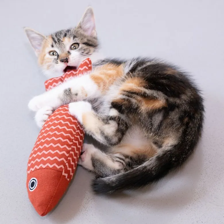 Modern Living Cadaques fisk kattelegetøj