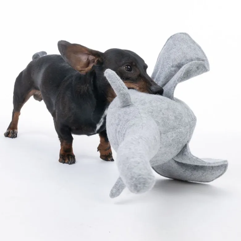 Modern Living Chiang Mai hundelegetøj