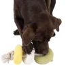 Modern Living Dalian hundelegetøj med reb