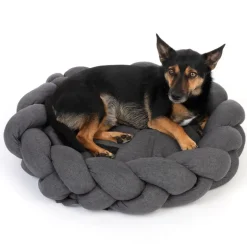 Modern Living hundeseng Durban