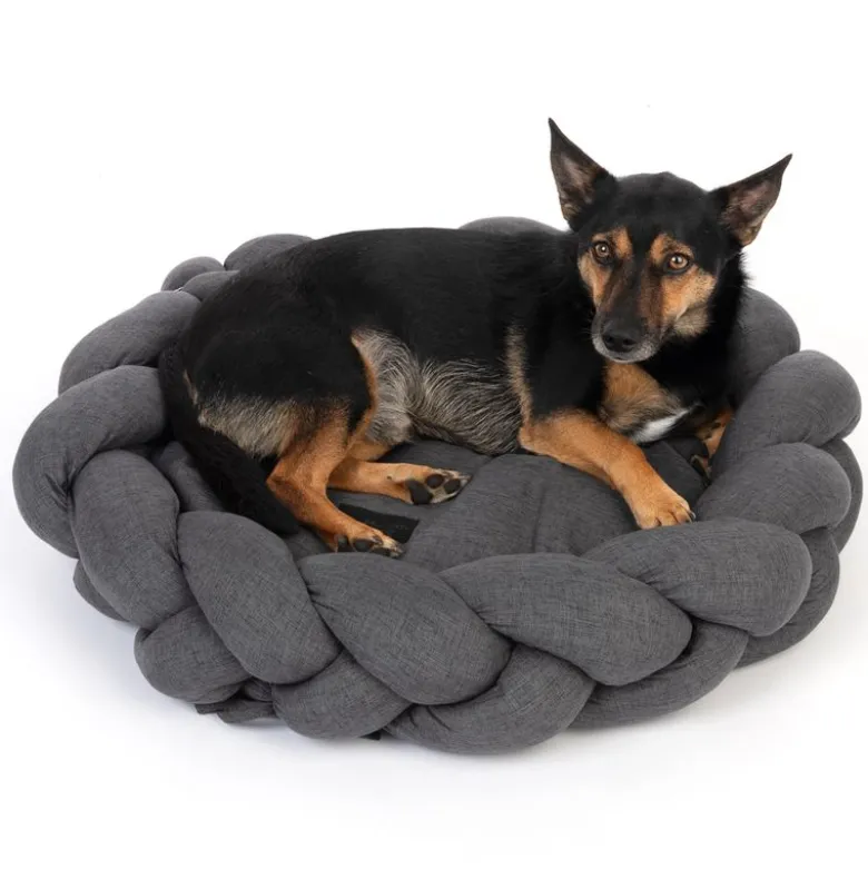 Modern Living hundeseng Durban