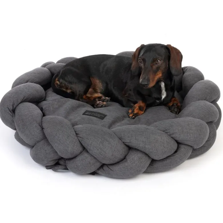 Modern Living hundeseng Durban